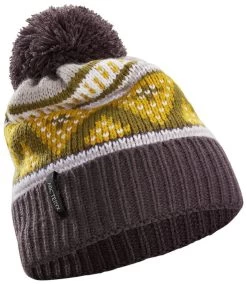 Arcteryx Fernie Toque