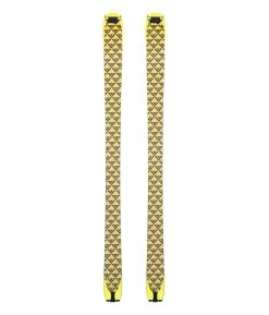 Black Crows Orb Freebird Skin