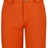 Dare2B Outmove Pant 2 Dare2B Outmove Pant -Winkel Voor Ski-uitrusting dare2b outmove pant vibrant orange 116 5 6 vibrant orange 0
