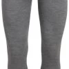 Icebreaker 260 Tech Leggings Men -Winkel Voor Ski-uitrusting icebreaker 260 tech leggings men gritstone heather 013 s gritstone heather 013 0
