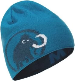 Mammut Logo Beanie 17 Mammut Logo Beanie -Winkel Voor Ski-uitrusting mammut logo beanie wing teal sapphire 5