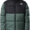 The North Face Saikuru Jacket Women's 1 The North Face Saikuru Jacket Women's -Winkel Voor Ski-uitrusting the north face saikuru jacket women s laurel wreath green tnf black xs laurel wreath green tnf black 0
