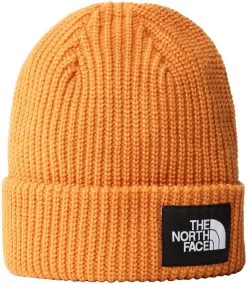 The North Face Salty Dog Beanie -Winkel Voor Ski-uitrusting the north face salty dog beanie topaz one size topaz 0